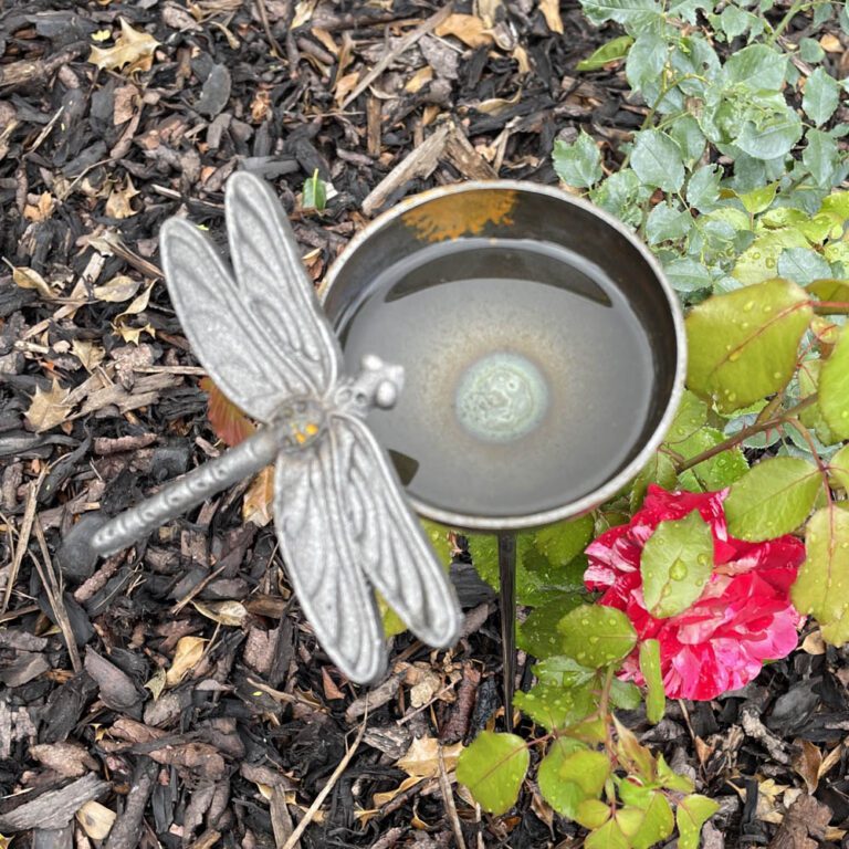 5065022557296 1 Bee Drinker Bee Cup Stake Ornament for Garden Wildlife Dragonfly.jpg